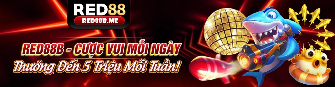 Tin tức và ưu đãi mới nhất từ Vuaclub khuyến mãi